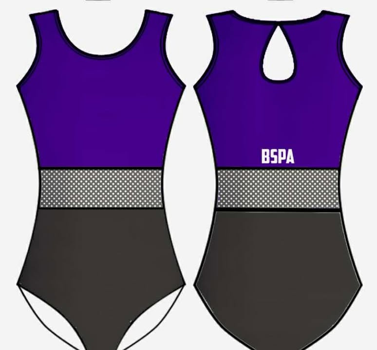 BSPA Mesh Insert Leotard