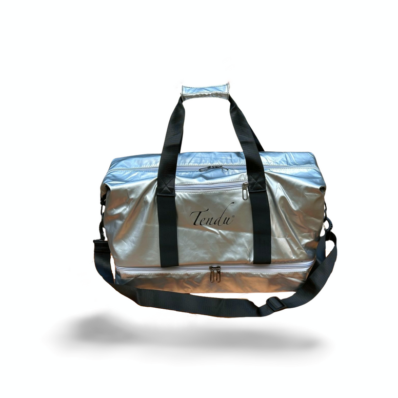 Tendu Metalic Bag