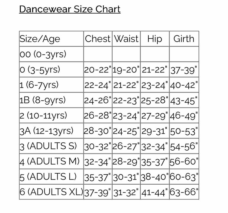BSPA Broadway Babies Purple Skirted Leotard